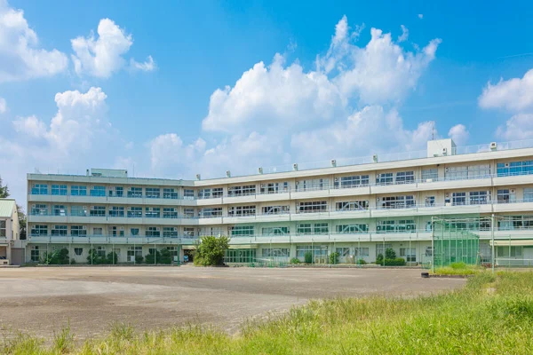 全部圖片 25