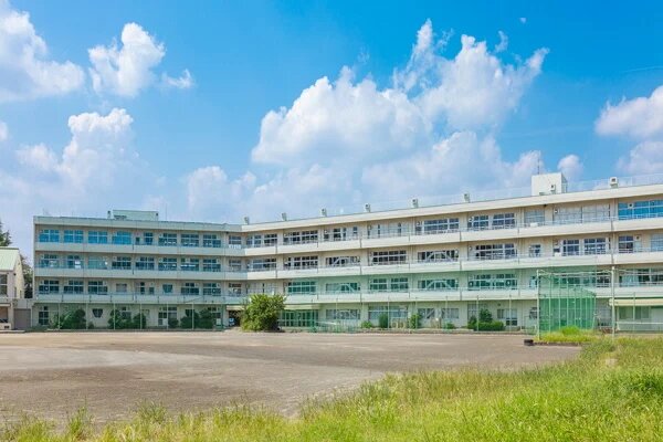 全部圖片 16