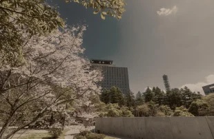 全部圖片 5